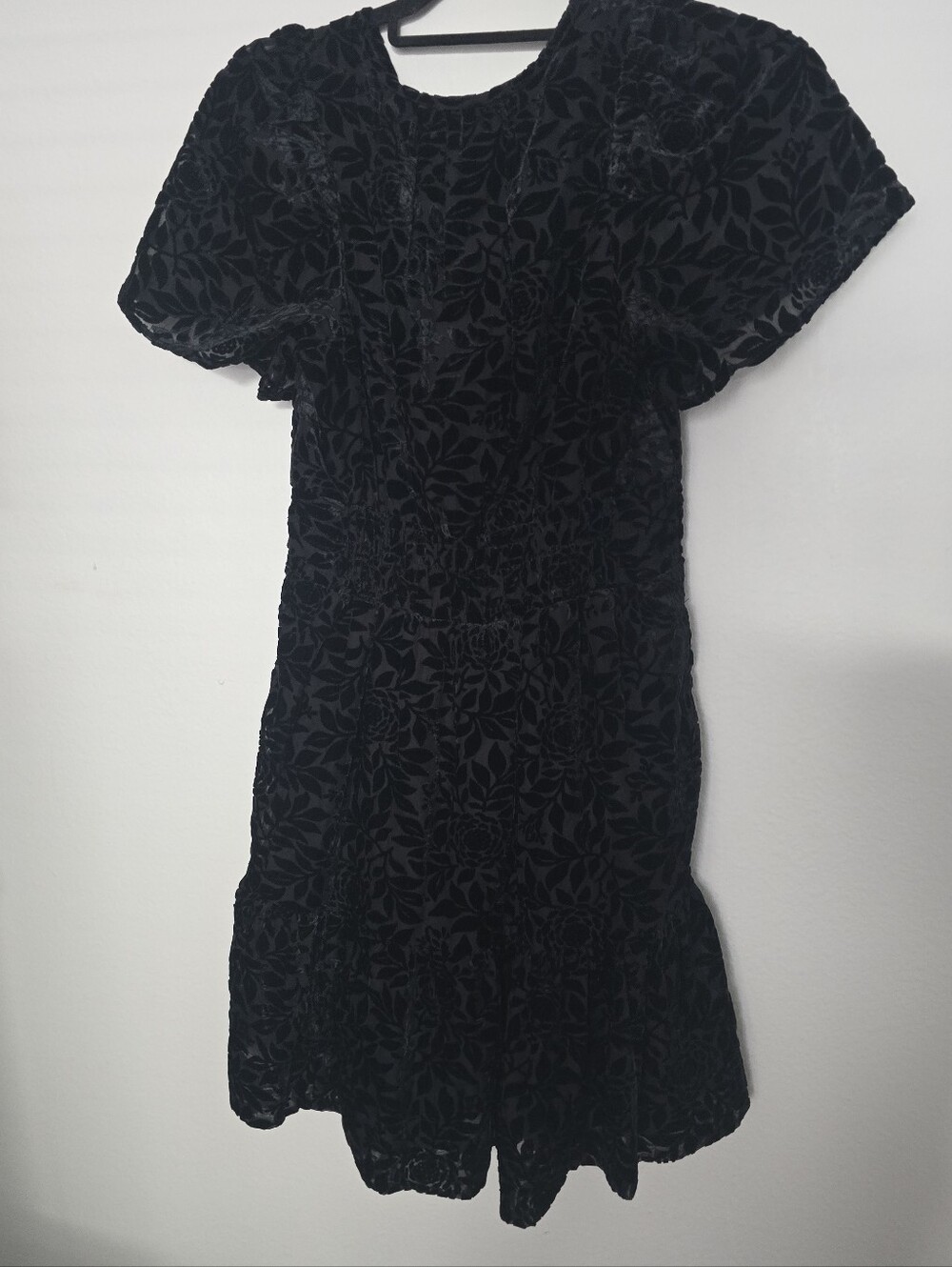 Anthropologie Somerset Mini Dress - Black Velvet Floral - Picture 5 of 7
